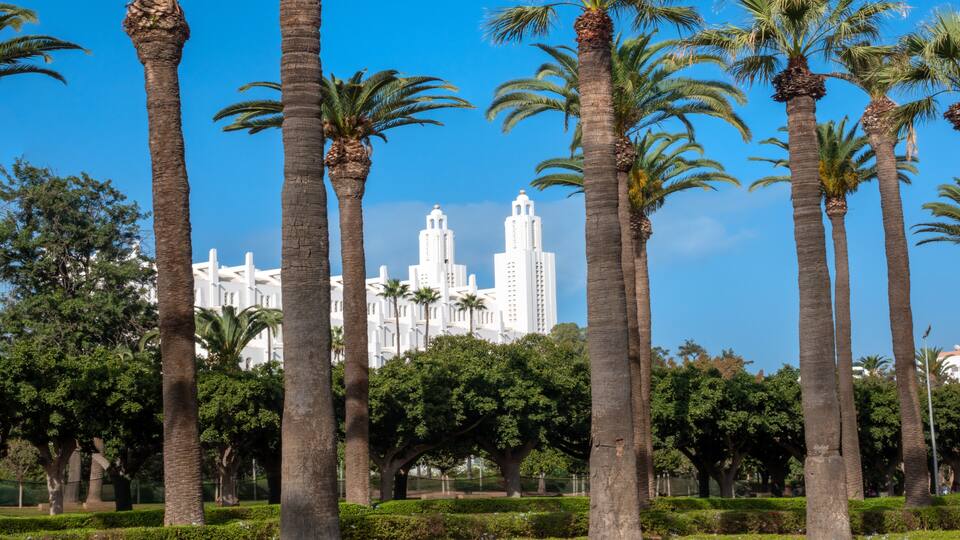 Beautiful row of palm tress in the Arab League Park of Casablanca with the imposing cathedral of the Holy Heart in the background. Casablanca, Morocco