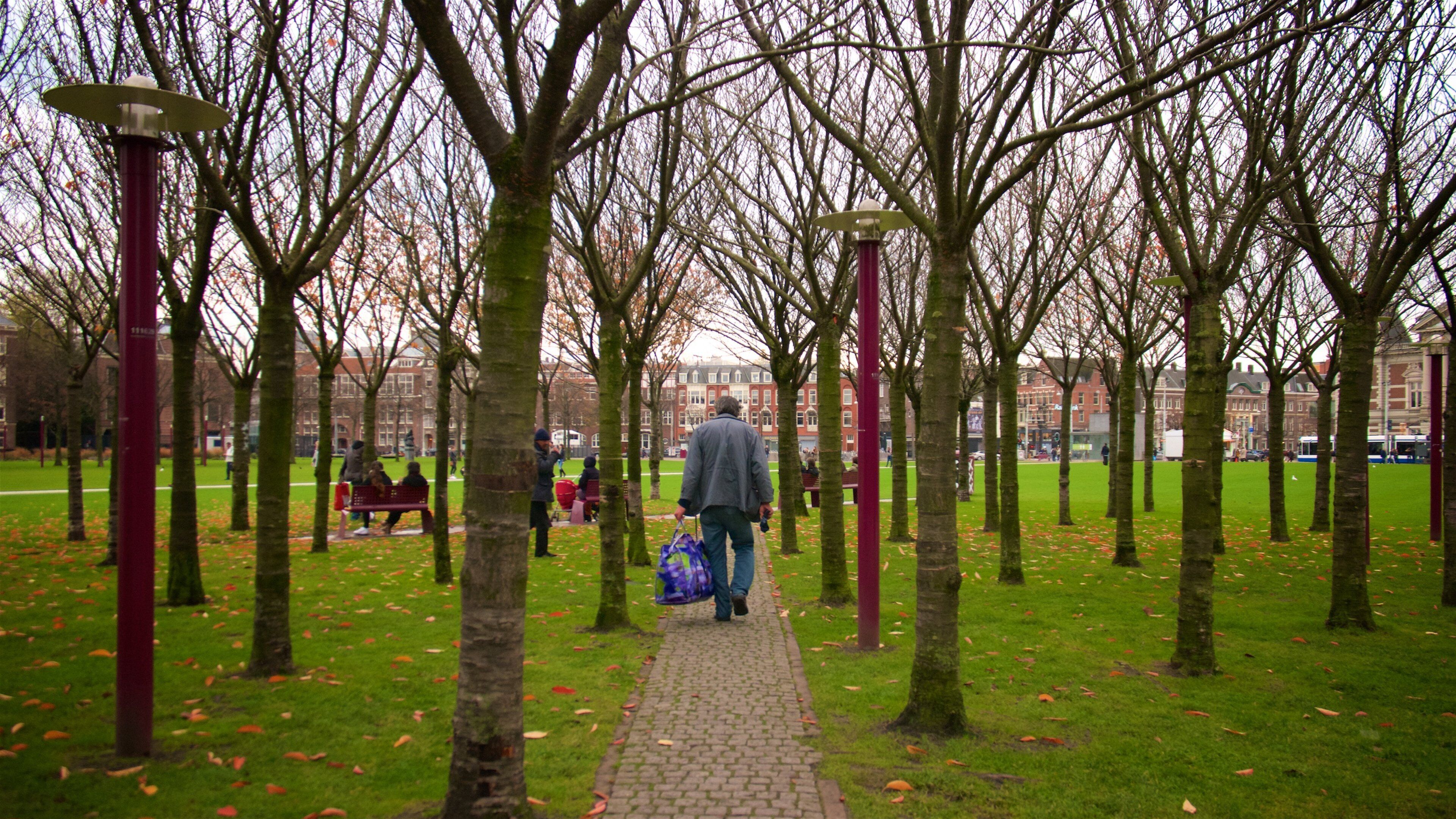 Museum Square which includes a garden