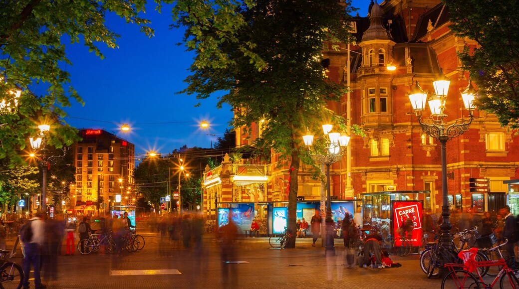 Leidseplein showing a city, street scenes and night scenes