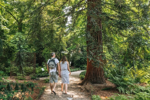 Exploring the lush pathways of Hortus Botanicus in Amsterdam's city center on a sunny afternoon
