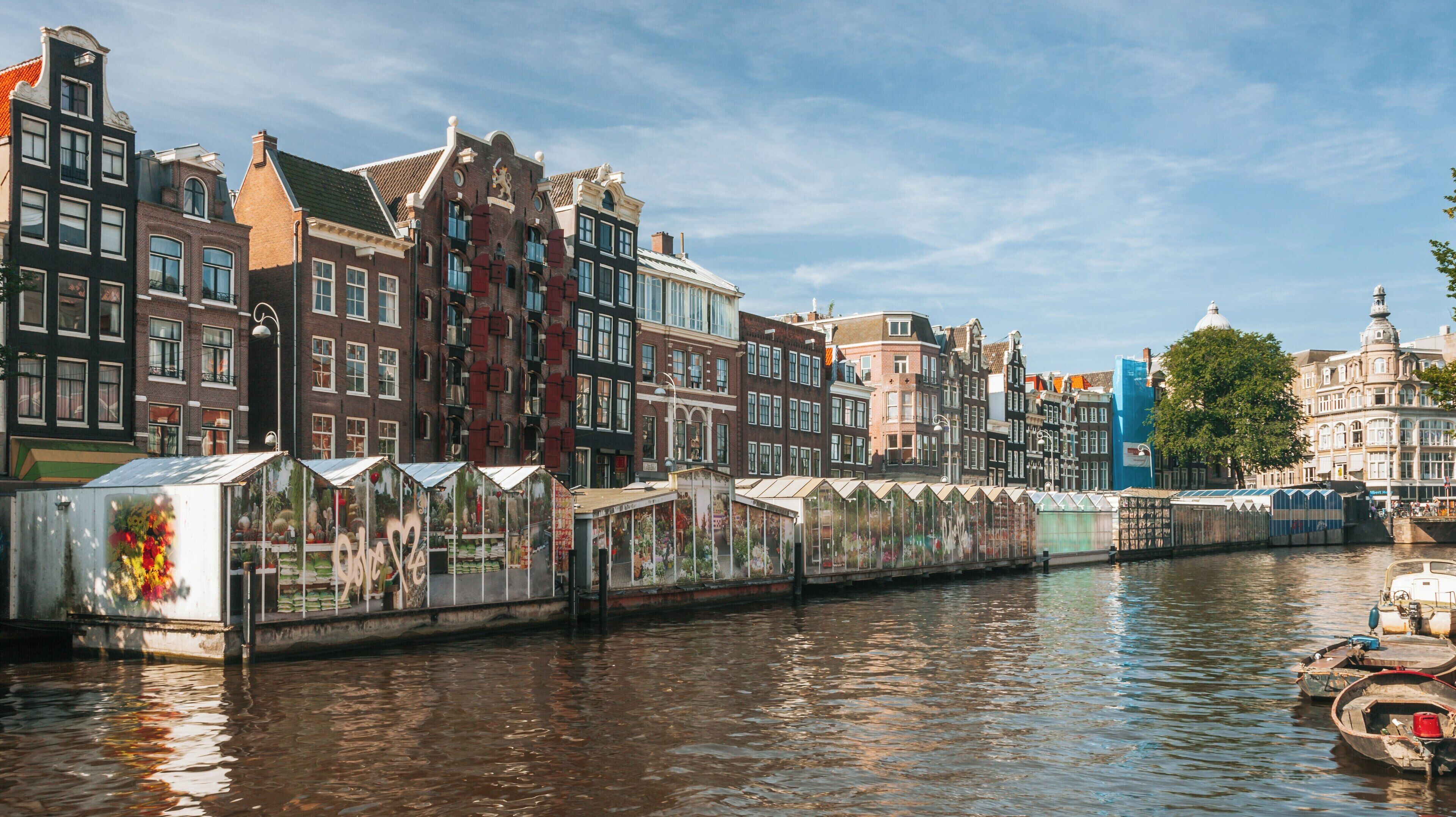 Exploring the vibrant flower market along the canal ring in Amsterdam, North Holland on a sunny day