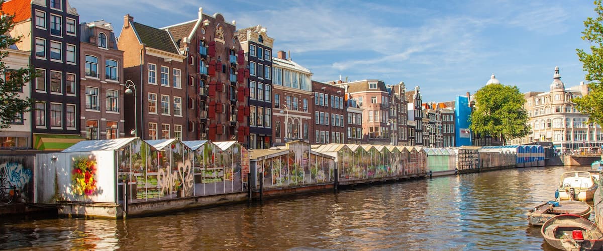 Flower Market showing a city, a river or creek and markets