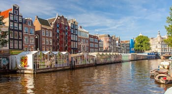 Flower Market showing a city, a river or creek and markets