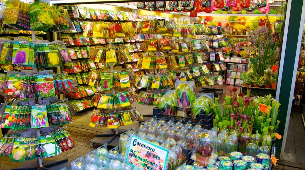 Blomstermarknaden som visar blommor, marknader och interiörer