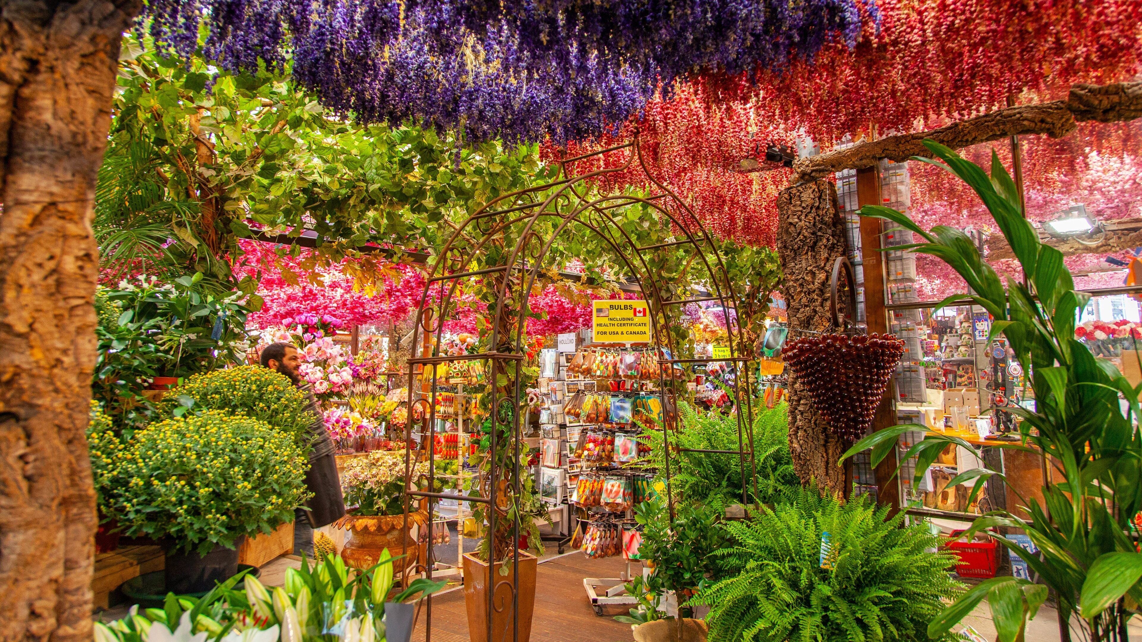 Flower Market showing interior views, flowers and markets