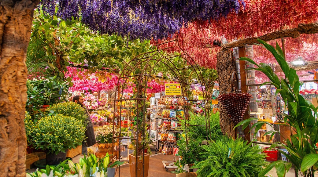 Flower Market showing interior views, flowers and markets
