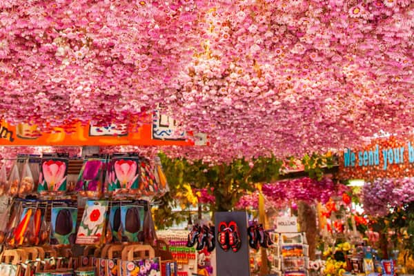 Flower Market featuring markets