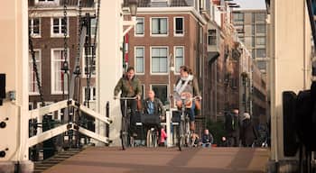 Magere Brug showing a bridge, cycling and a small town or village
