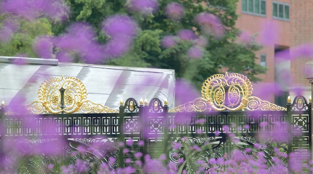 Peace Palace which includes a castle, flowers and heritage architecture