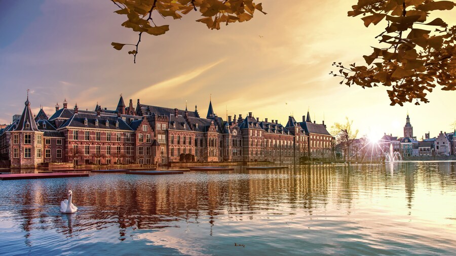 Sunset on the Binnenhof building and The Hague city reflected on the pond with a swan swimming on, Netherlands