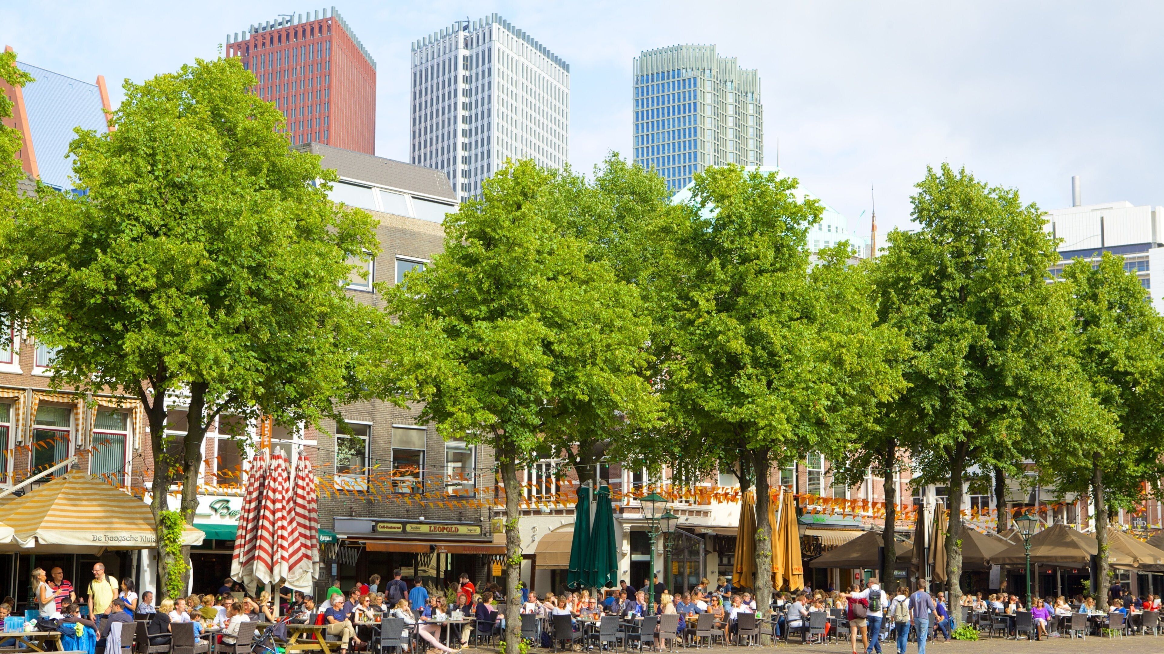 A bustling outdoor café area with people dining, surrounded by trees and modern buildings.