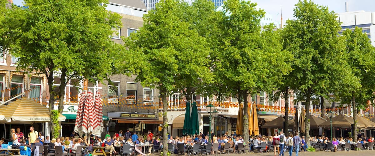 A bustling outdoor café area with people dining, surrounded by trees and modern buildings.