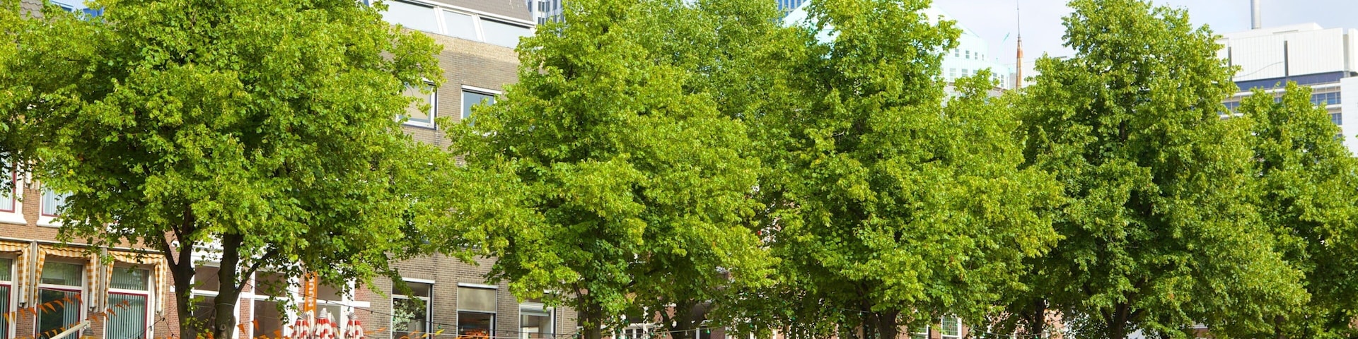 A bustling outdoor café area with people dining, surrounded by trees and modern buildings.