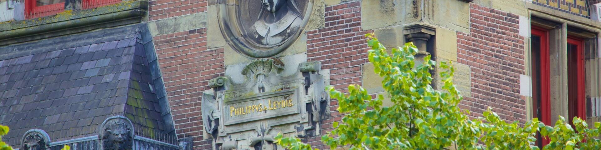 Plein featuring outdoor art