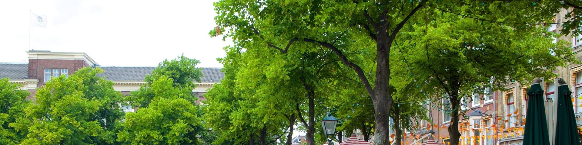 A cobblestone square with outdoor seating, trees, and buildings in the background.