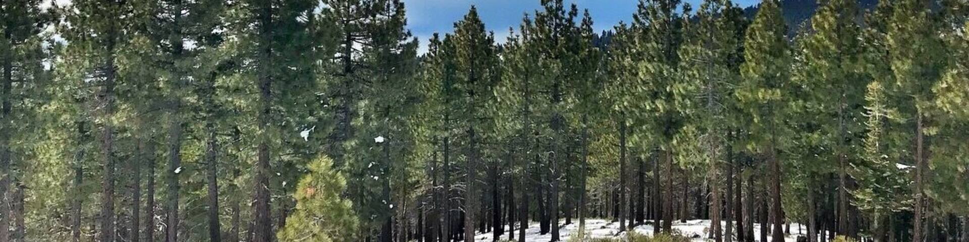 View during our lunch after skiing