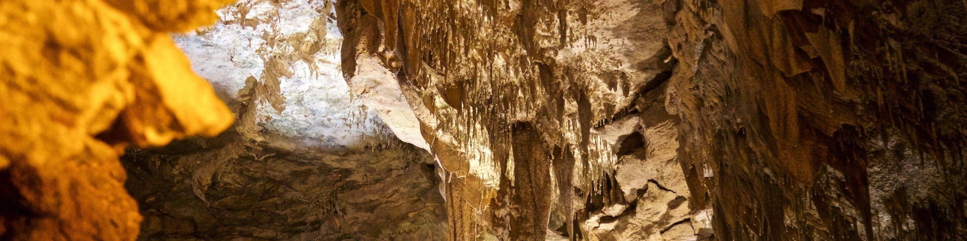 Fantastic Caverns mostrando cavernas