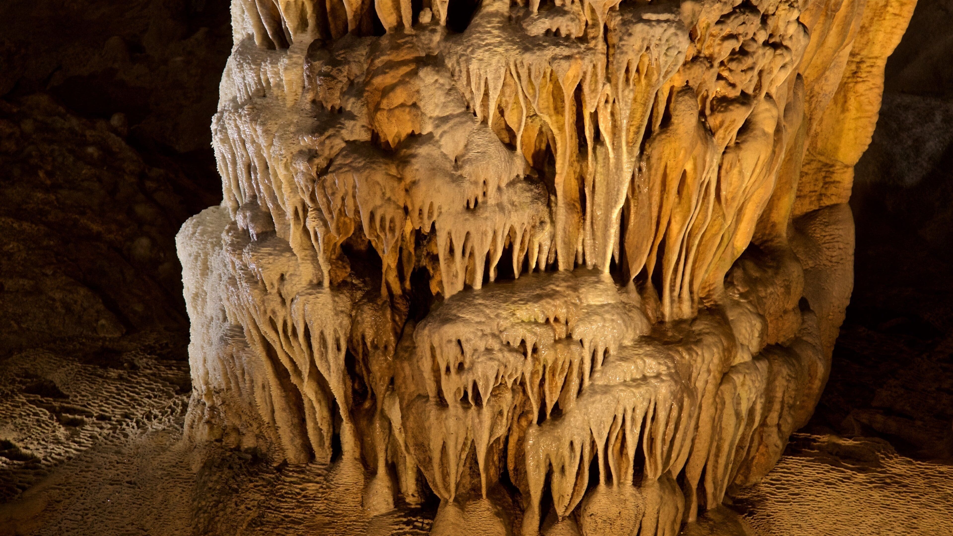 Fantastic Caverns featuring caves