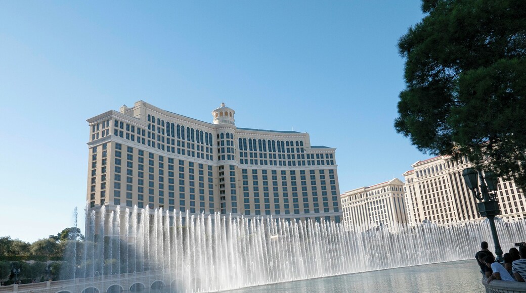 LasVegas_FountainsofBellagio_6064869_04