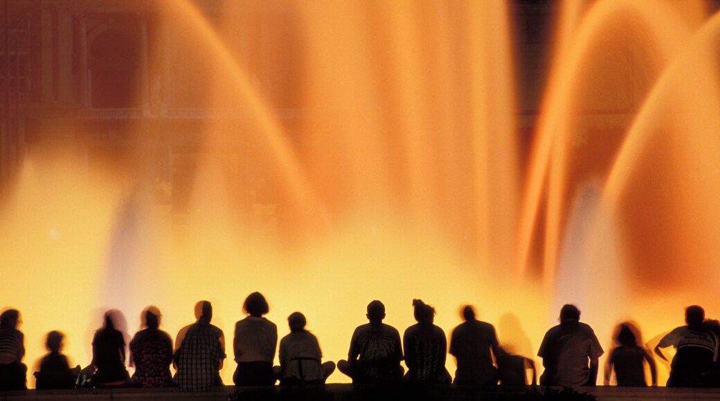 Crowd Watching Las Vegas Fountains