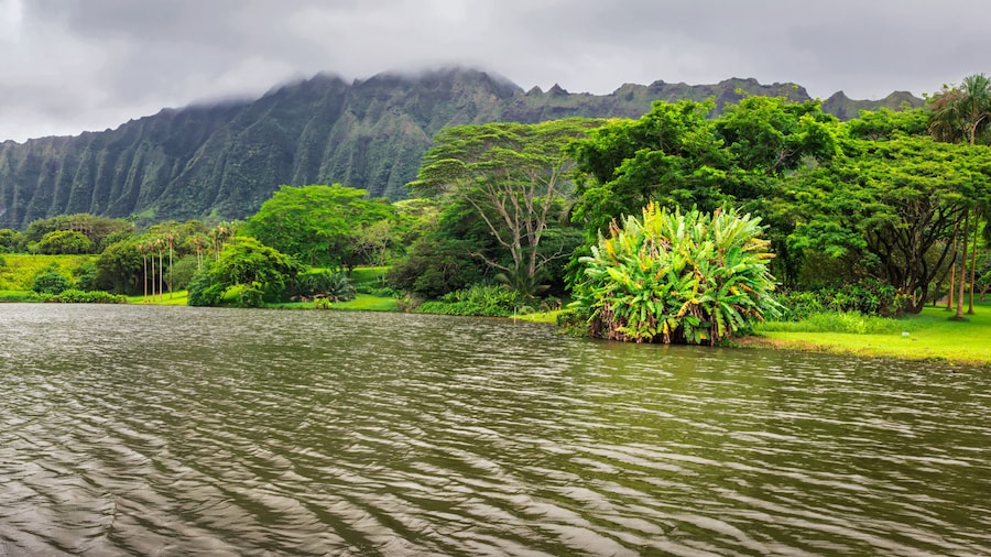 火玛鲁霞植物园