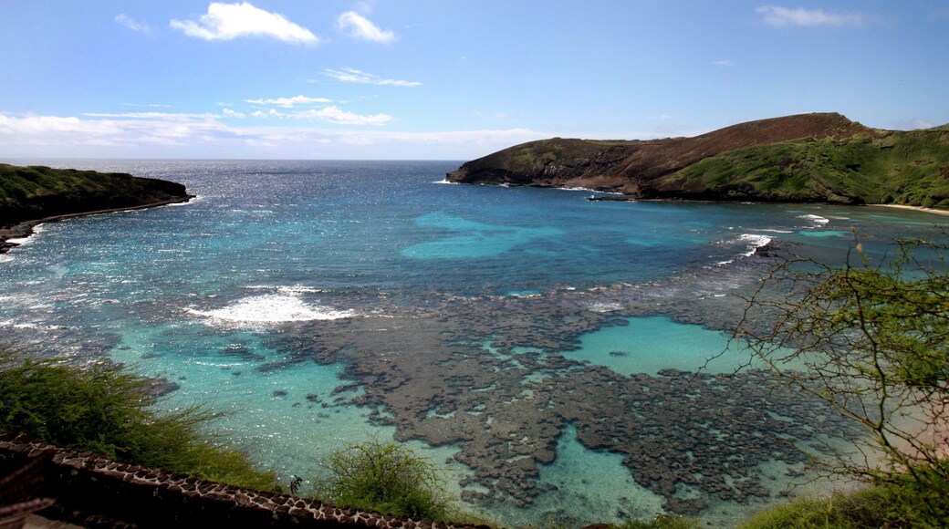 Hanauma Bay Nature Preserve presenterar landskap, en hamn eller havsbukt och kustutsikter