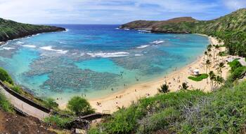 Đông Honolulu