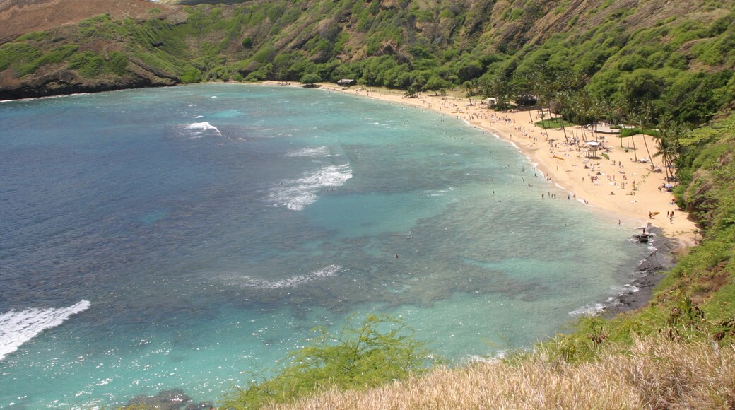 Hanauma Bay Nature Preserve which includes landscape views and a sandy beach