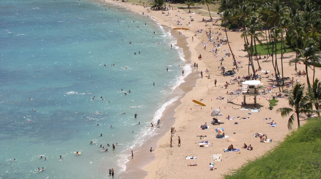 Hanauma Bay Nature Preserve som visar tropisk natur, en strand och bad