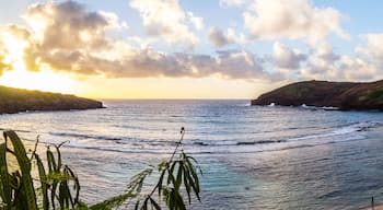 Hanauma Bay oahu snorkeling in hawaii beach