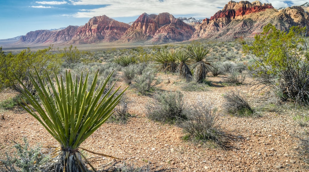 Mountains along Red Rock Canyon National Conservation west of Las Vegas, Nevada.; Shutterstock ID 439426816; Purchase Order: -