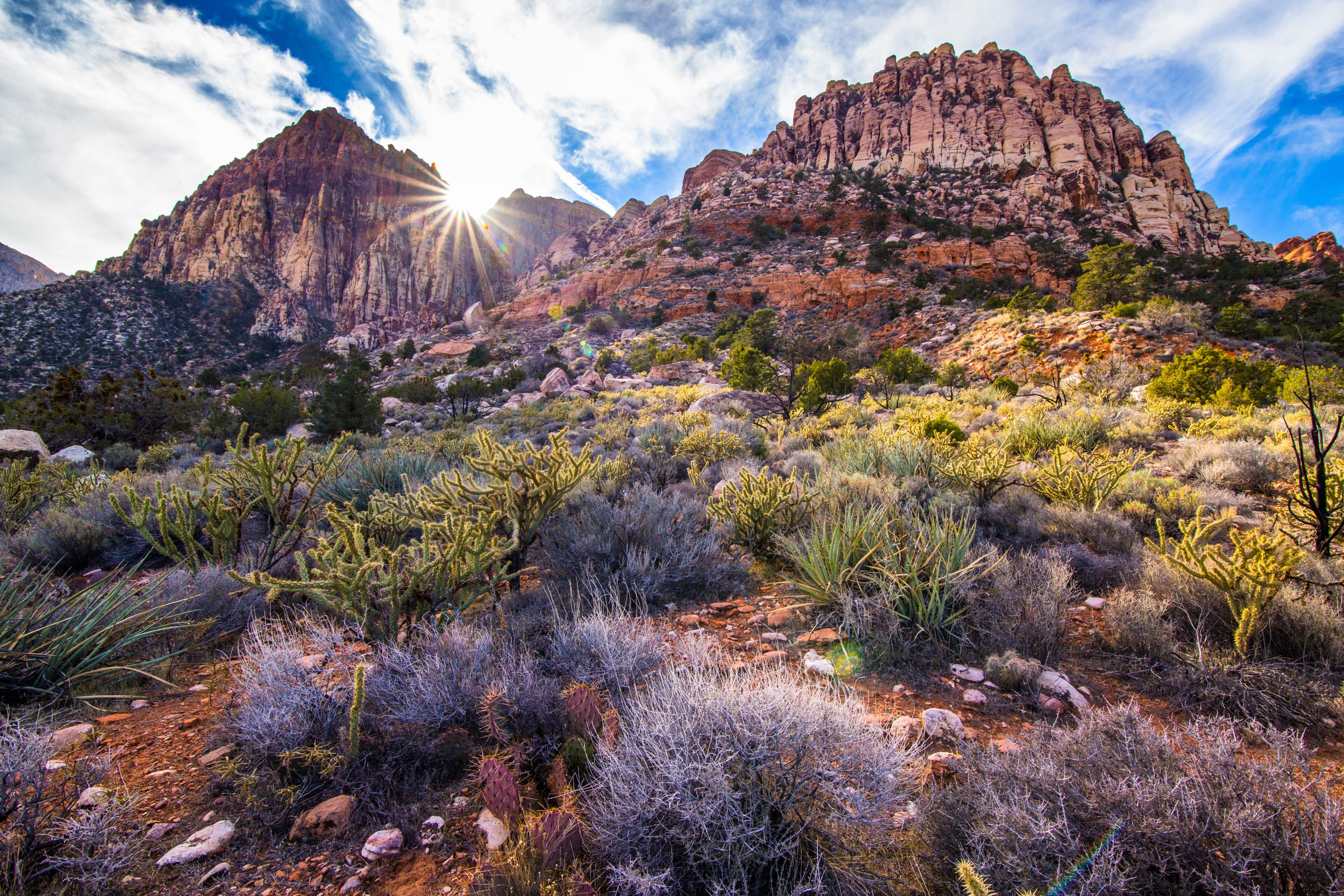Sunset on a desert ridge in Red Rock Canyon near Las Vegas, NV