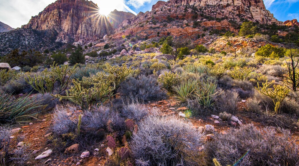 Sunset on a desert ridge in Red Rock Canyon near Las Vegas, NV