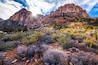 Sunset on a desert ridge in Red Rock Canyon near Las Vegas, NV
