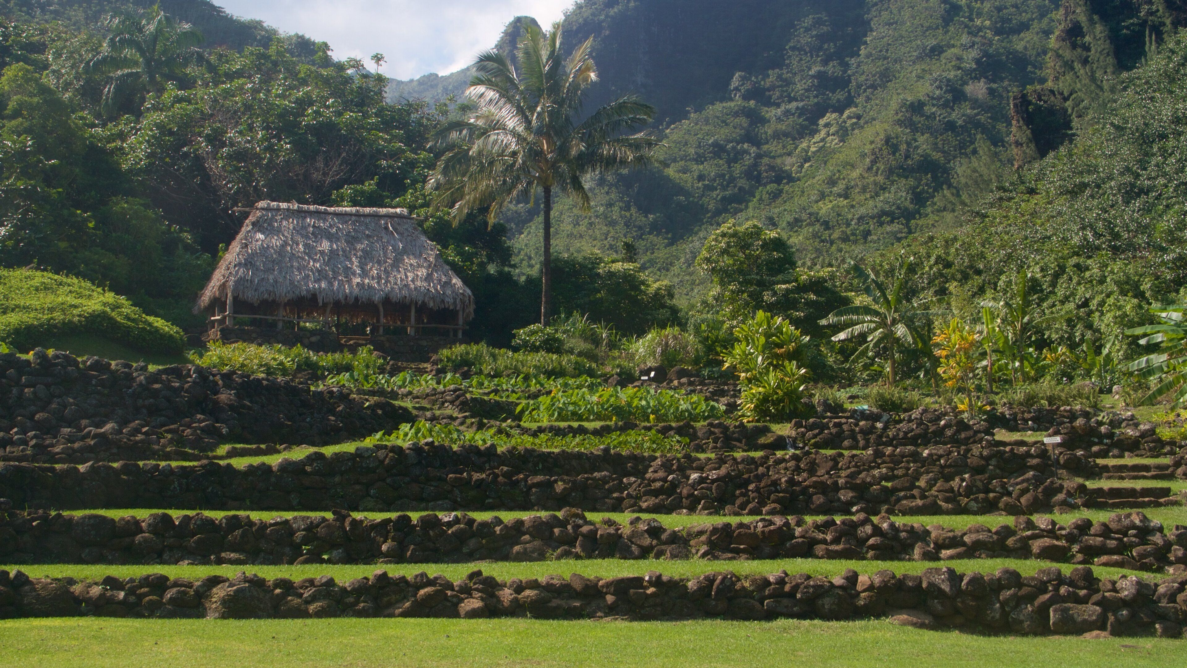 Limahuli Gardens and Reserve featuring a garden