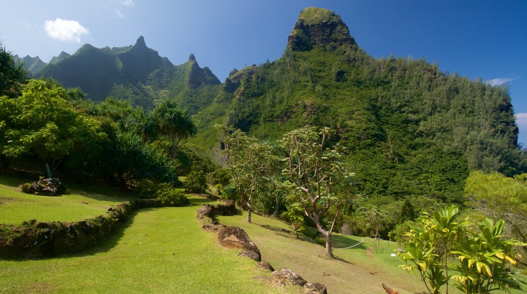 Limahuli Gardens and Reserve featuring mountains and a park