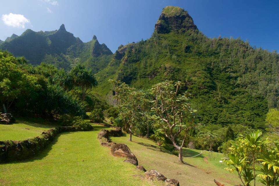 A lush green landscape with a prominent mountain in the background.