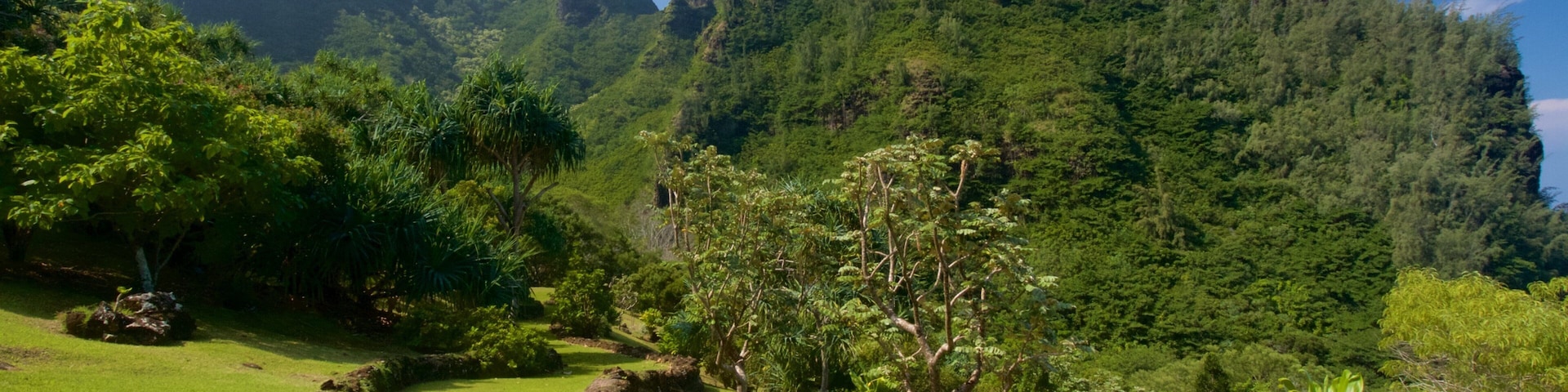 Limahuli Gardens and Reserve que inclui montanhas e um parque
