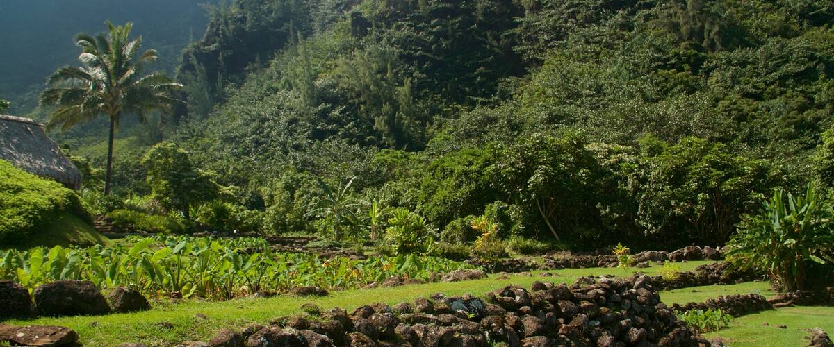 Limahuli Gardens and Reserve featuring tranquil scenes and a garden
