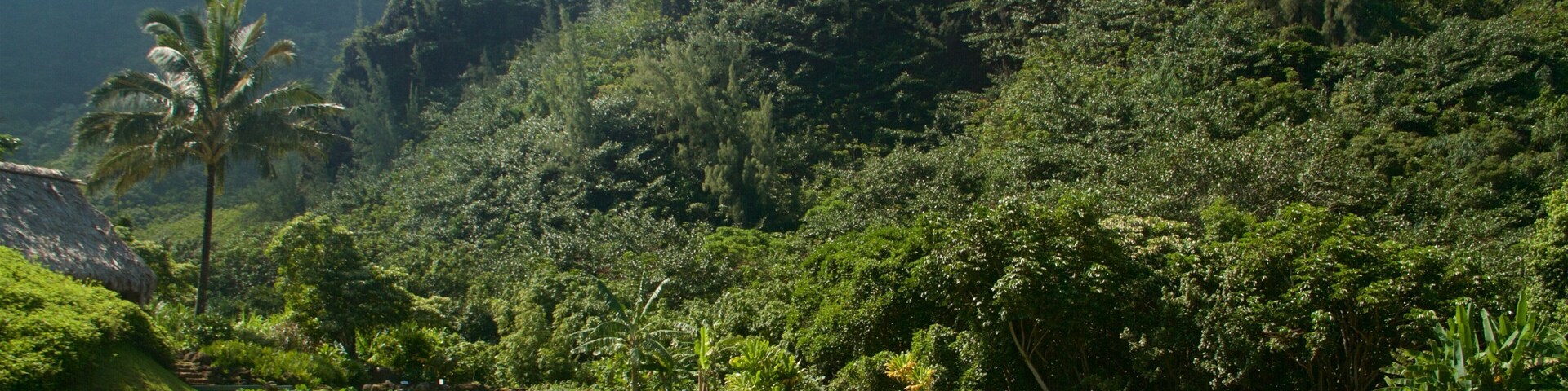 Limahuli Gardens and Reserve featuring tranquil scenes and a garden
