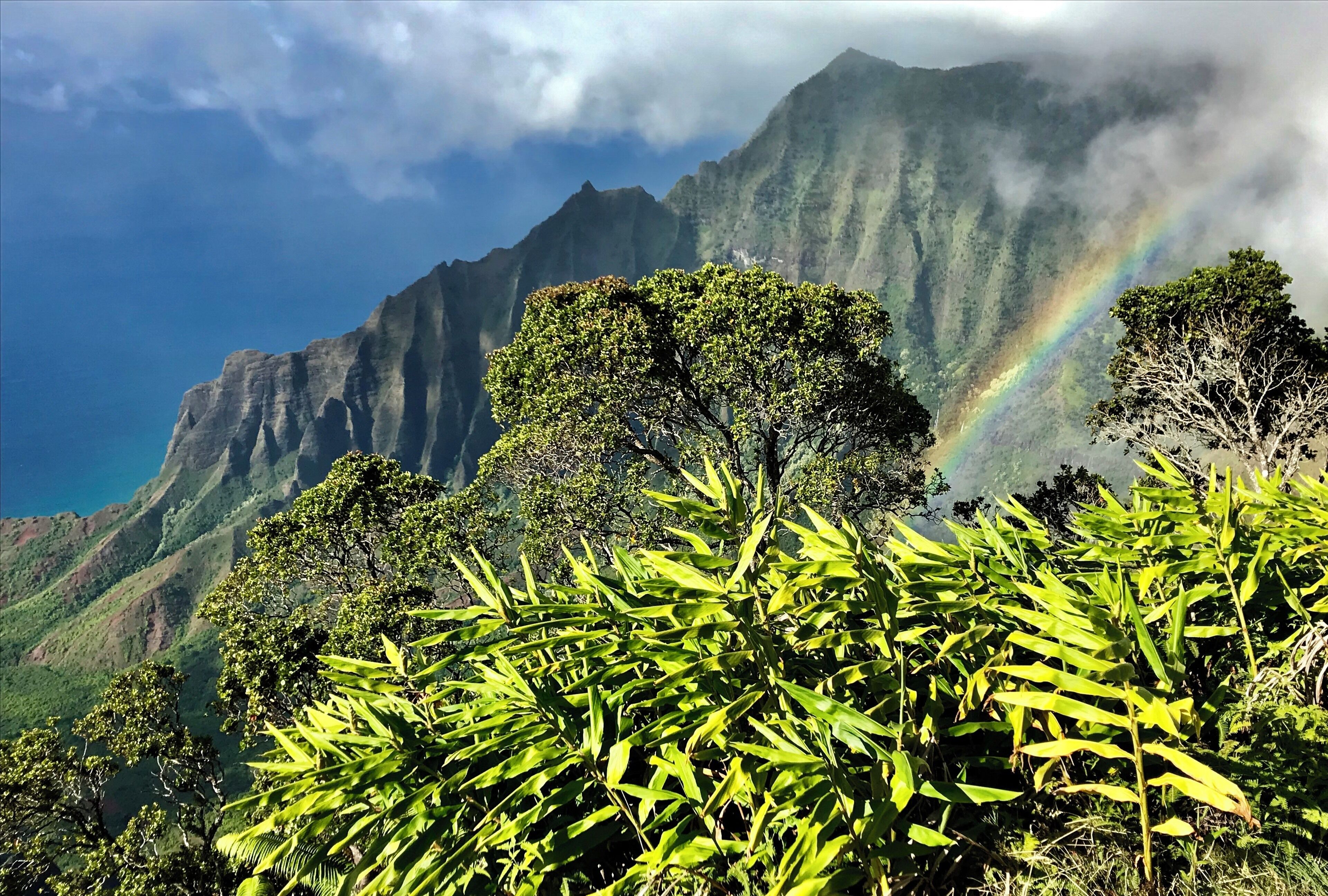 Another spectacular day on Kaua’i 🤙🏼