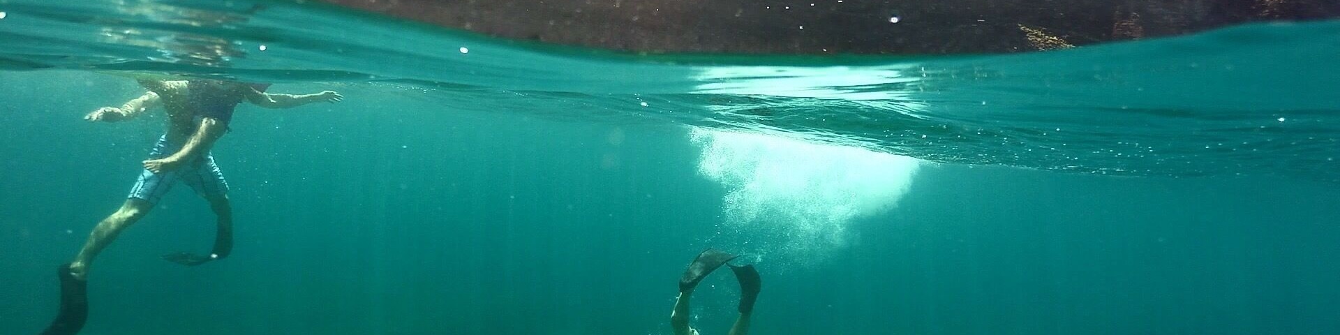 Took the blue dolphin charter over to the coast line. Was as great as it does seem. Water gets choppy through the day but is so beautiful to see it untouched and kept green.