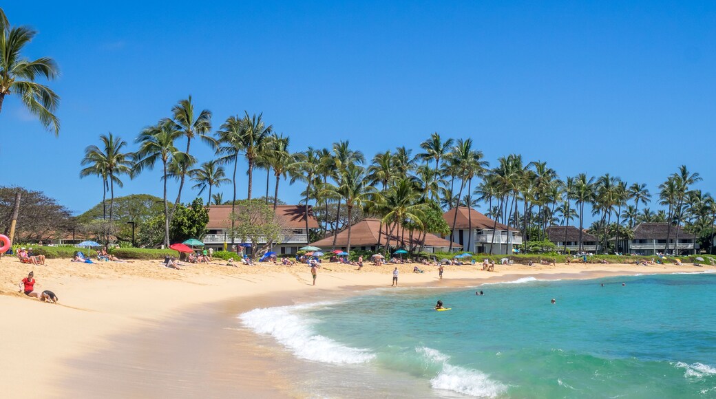 ชายหาด Poipu