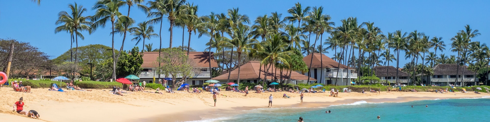 Una playa con palmeras, cielo azul despejado y mar tranquilo.