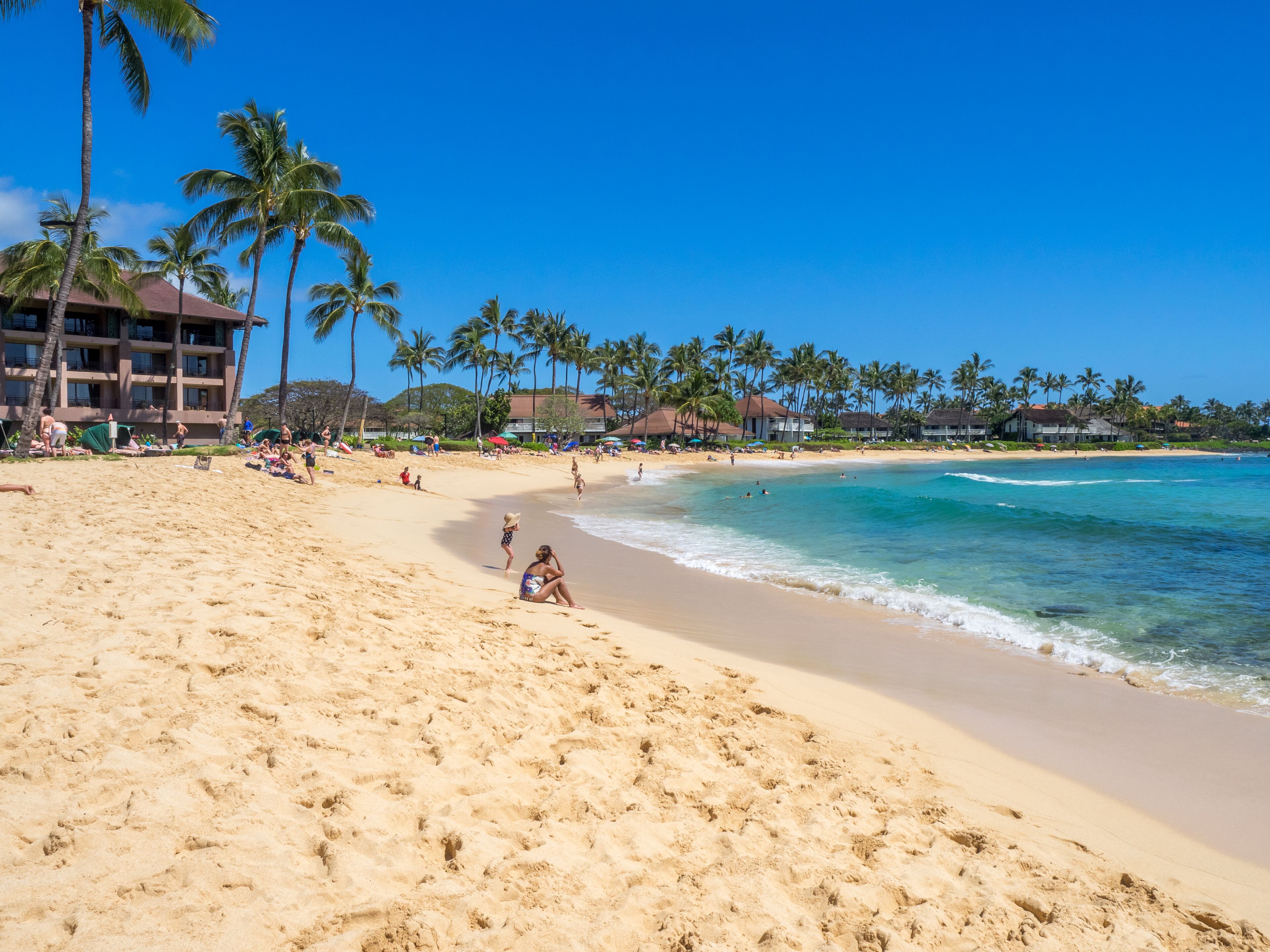 A sandy beach with palm trees and ocean waves.