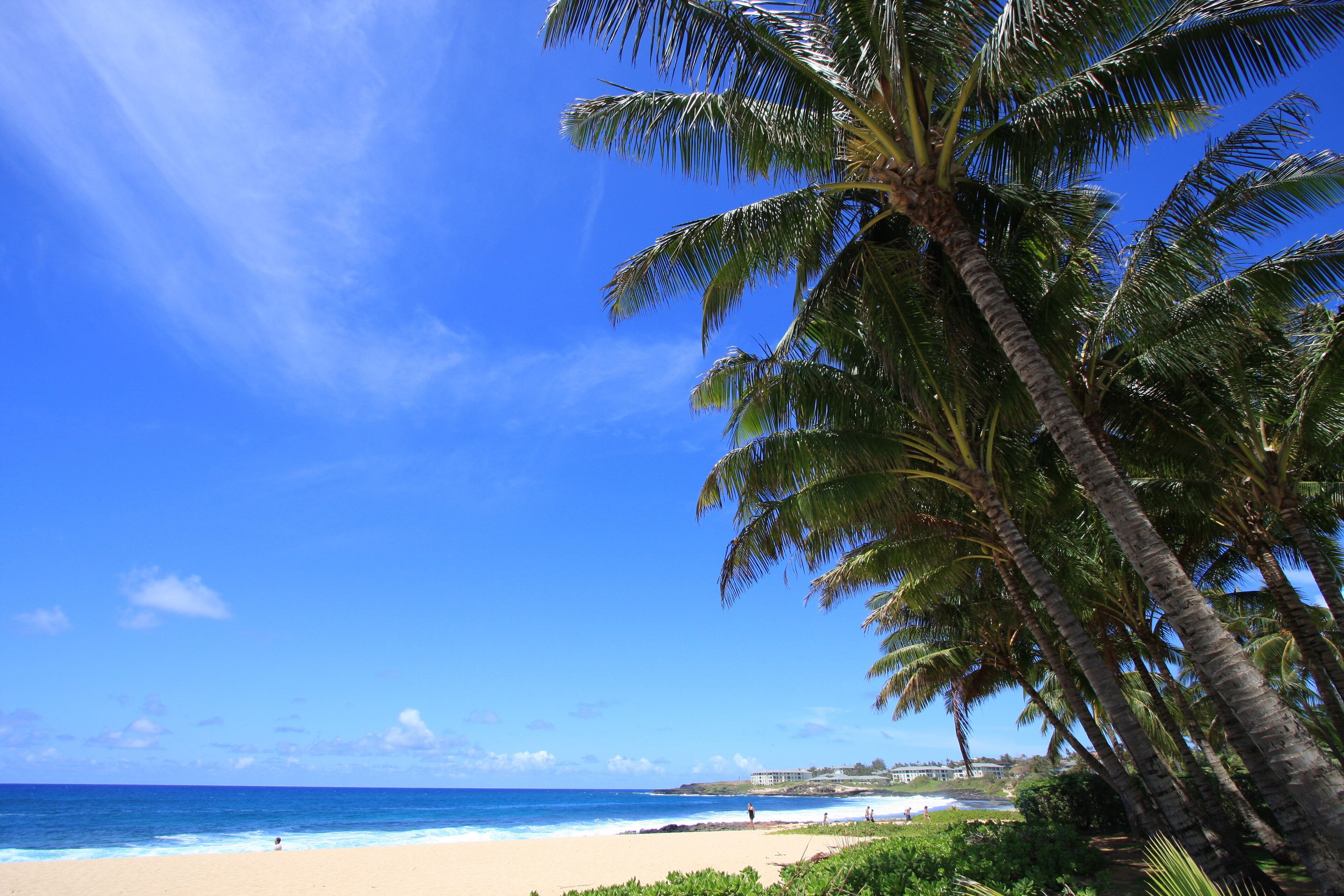 Poipu Beach