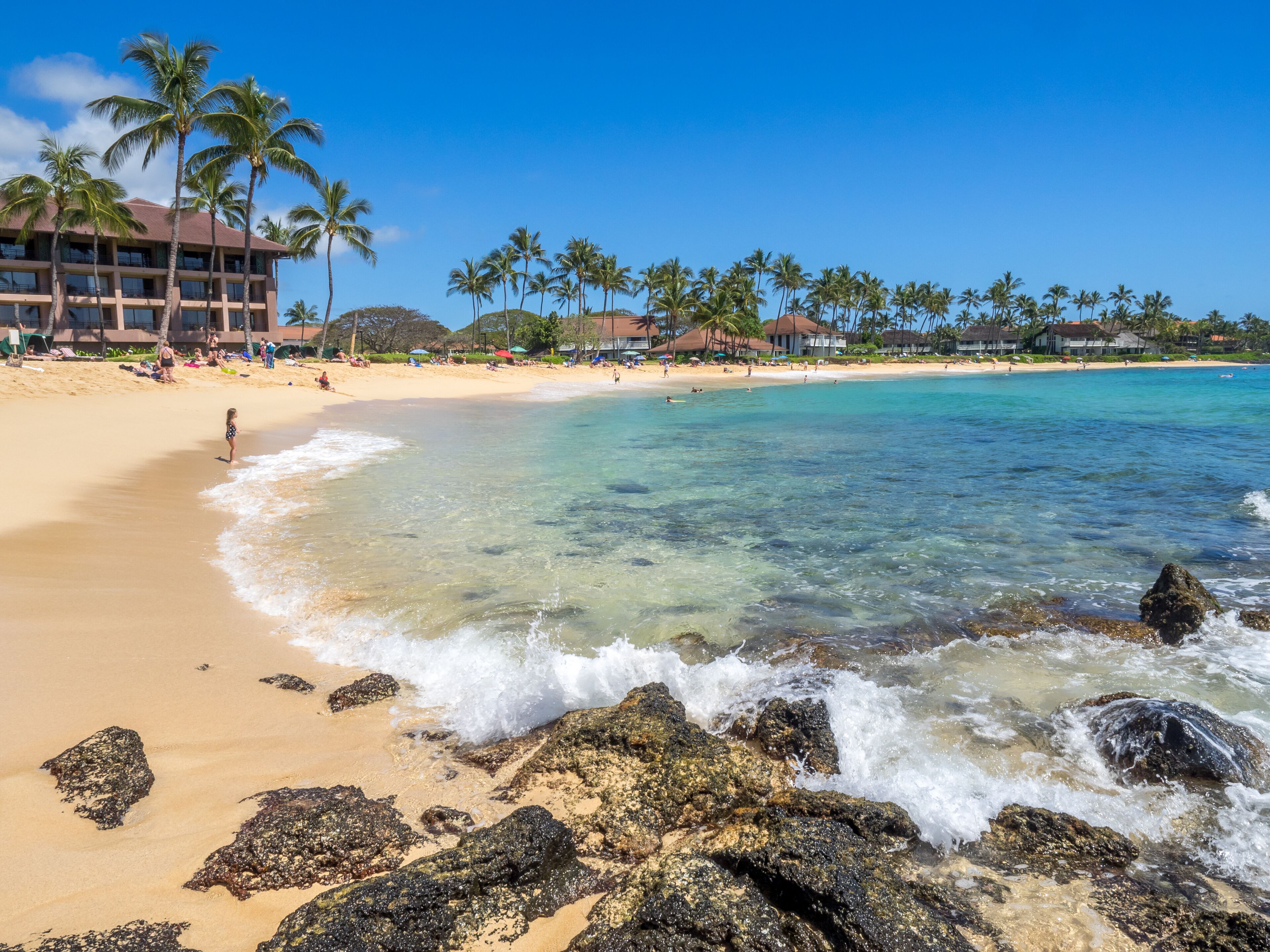 Une plage tropicale avec une eau turquoise et limpide, un rivage rocheux et des palmiers.