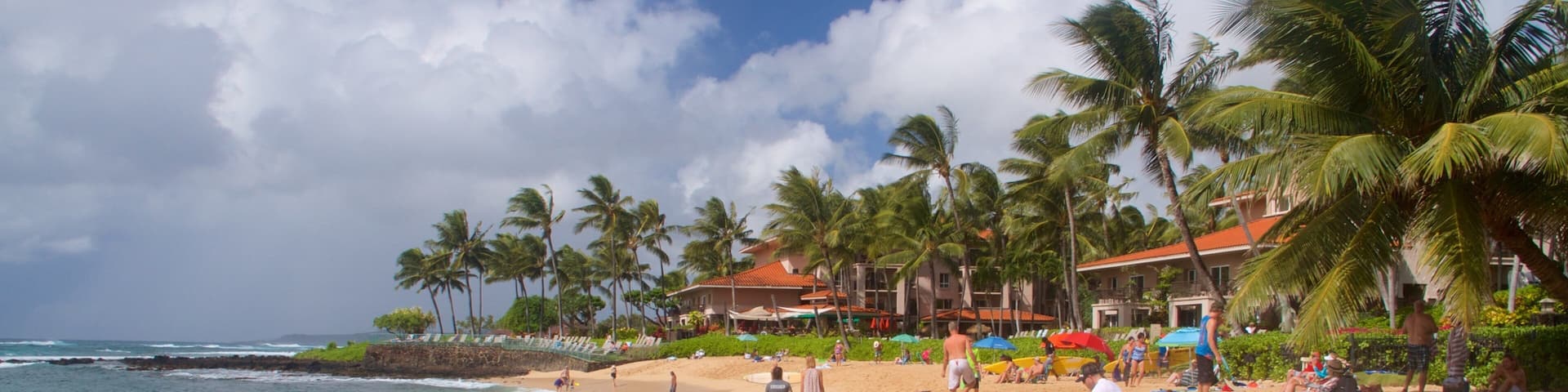 ポイプ ビーチ フィーチャー 砂浜