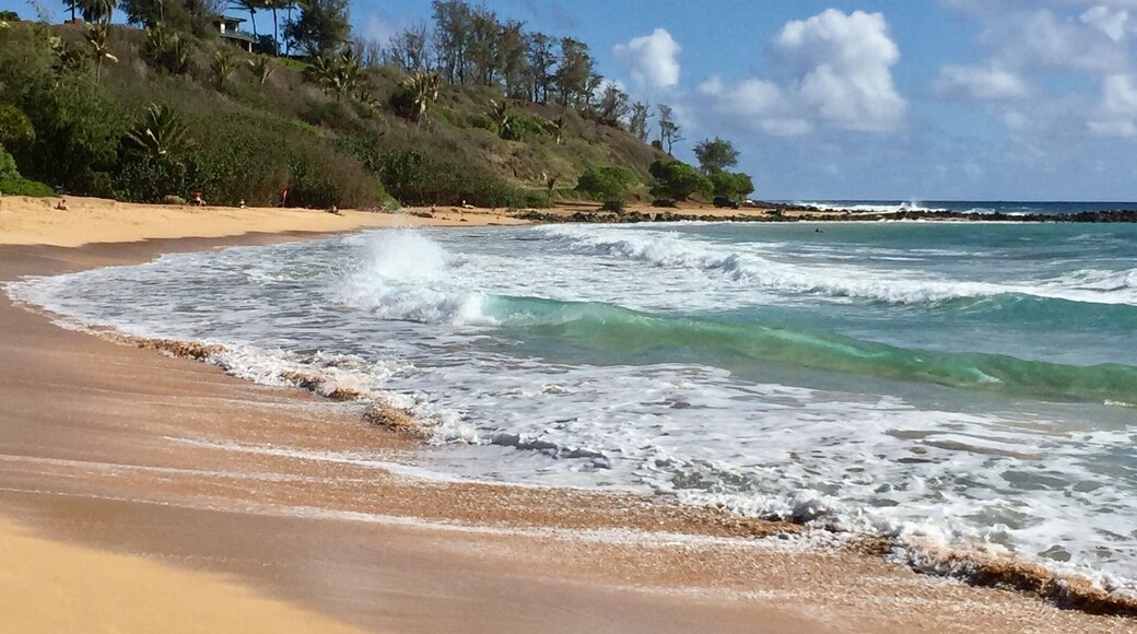 A beautiful quiet beach on Kauai. #beachbound