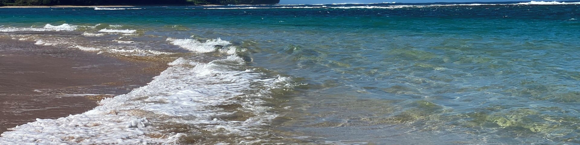 Best snorkeling in Kauai. See monk seals and sea turtles play.